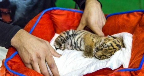 �������� ������� ������ ��� ������ �� ����� ��������� � ������