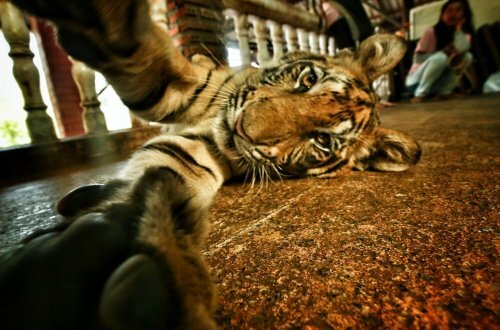 ����� � �������