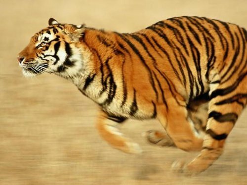 ����������� ���������� ���� � ��������� ���� ����� � ���������� ������