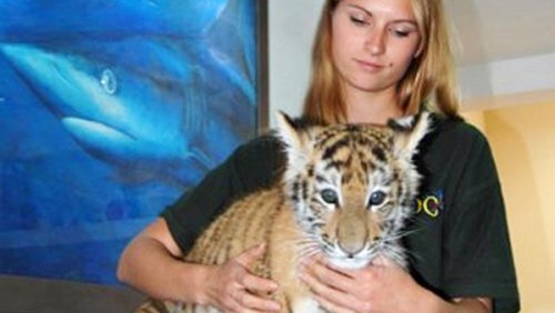 ������ �������� ����-������� ��������� ���� ������