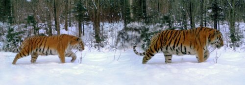 � �������� ����������� ������� ���������� �������� ���������