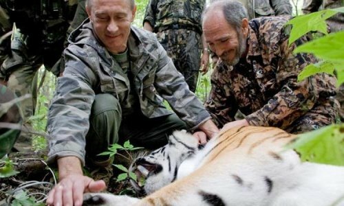 ������ �� ���� "���������" ������ ��������� � �������