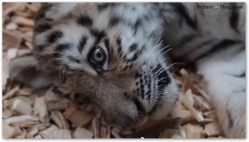 �������� ������� ����� � ������ � �������� �������� ����������