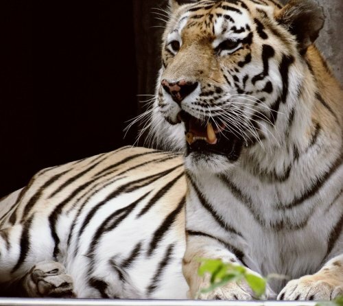 ������� ������� ������ � �������