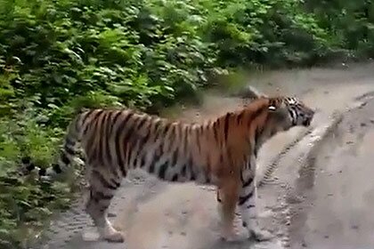 � �������� ������� �� ������� � ������, ������������ ������� �� ����������