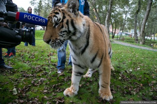 �������� ��� �� ������� ���� ��� ����� ������ "�������� ����"