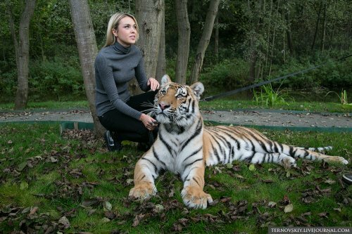 �������� ��� �� ������� ���� ��� ����� ������ "�������� ����"