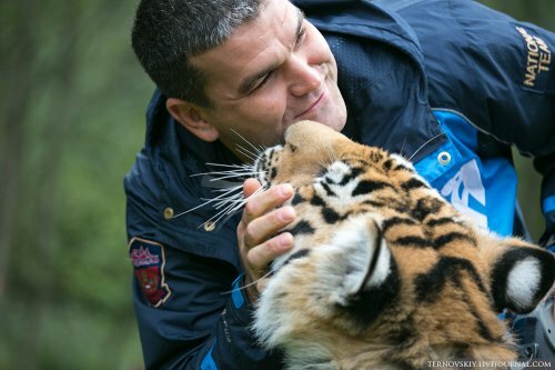 �������� ��� �� ������� ���� ��� ����� ������ "�������� ����"