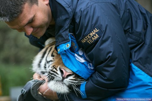 �������� ��� �� ������� ���� ��� ����� ������ "�������� ����"