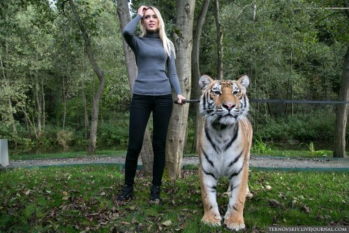 �������� ��� �� ������� ���� ��� ����� ������ "�������� ����"