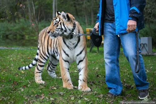 �������� ��� �� ������� ���� ��� ����� ������ "�������� ����"