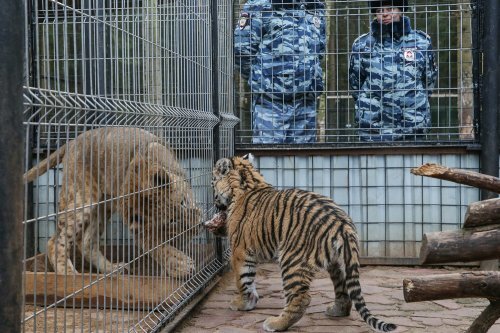 ���������� ������� ����� ������� ��� ��������� ��������� ������