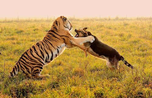 � ��������� ����� ����� � ������� ������ ���� � ������