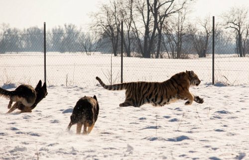 � ��������� ����� ����� � ������� ������ ���� � ������