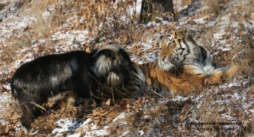 ���������� ������� ������ �������� ������� ������������� ����� � �����