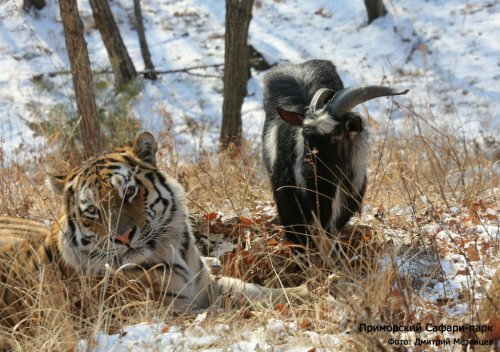 ���� ���� � ����� ����� ������ ������ ���� � ������