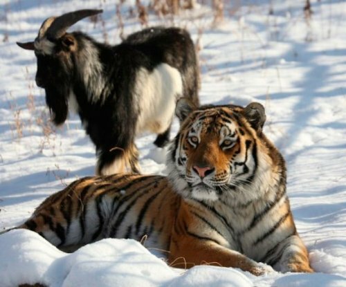 �� ����� � ������ ������ ����� �������� ������