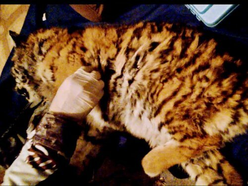 � �������� ������ ��������� � ���� ��������� ��������