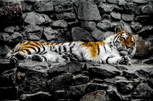 �������� ���� �������� �������� � ��������