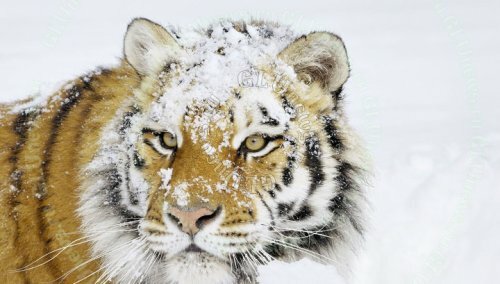 �������� ����� � ������� �������� �����