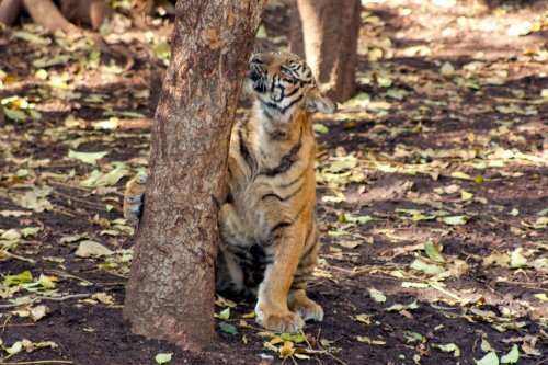 ������� �� ��� ��� ������� ��������� ������ �����������