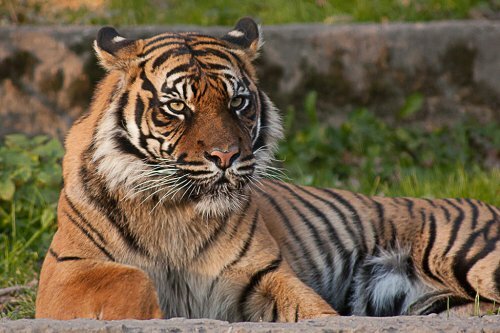 ������� �� ��� ��� ������� ��������� ������ �����������