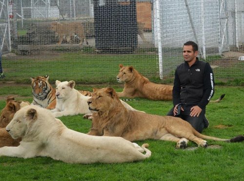 ���� ���� �������� �� ��������