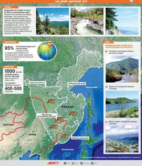 ��� � ������ ��������� �������� ������ � ����� �������