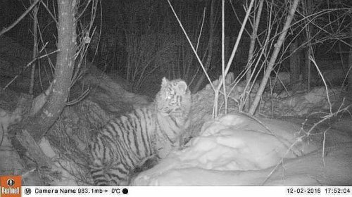 � ����� ������������ ������ ����� ��������, ������� ��� ������ ����� ��� ����