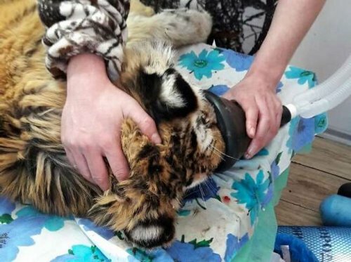 ������� � �������� �������� ������������ ����� ��������