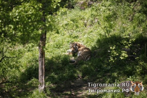 ������� �� ��������