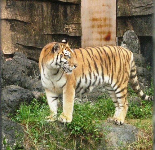 ����������� ���������� ����� ����� ����� �������� ������