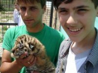 ���� �������� ������ ��������� ������� � �����