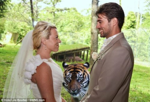 ������� �������������� � ���������� �� ����� ��������� ���������� (����)