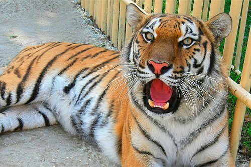 ����� ����� ����������, ������� �� ������������